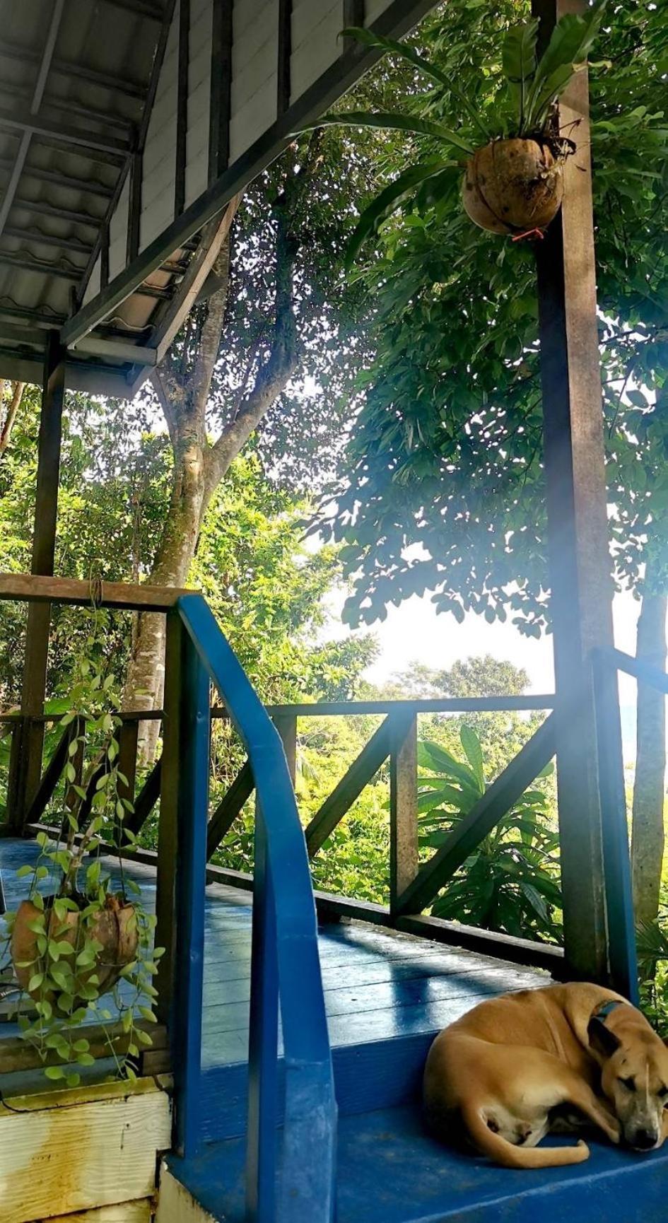 Rasta View Bangalows Ко Чанг Экстерьер фото
